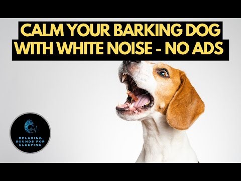 10 Hours Of White Noise To Calm Dogs And Prevent Barking