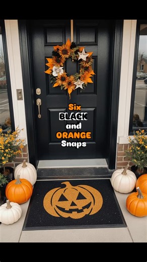 Halloween inspired camera snaps!  Black and orange aesthetic vibes...