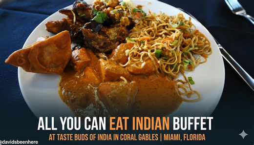 All You Can Eat Indian Buffet At Taste Buds Of India In Coral Gables | Miami, Florida
