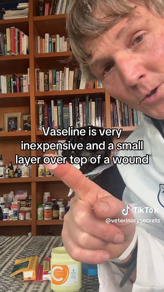 Do NOT use Neosporin or Polysporin on a wound - Vaseline is way more effective! #wound #woundcare #neosporin #polysporin #dogemergency #catemergency