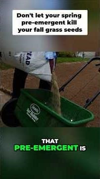 Your Spring Pre-emergent Application Is Ruining Fall Overseeding