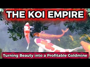 The KOI Fish Empire | Turning Beauty Into A Profitable Backyard Goldmine