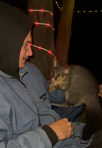 The Significance of Password Security in Wildlife Enjoyment