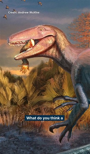 Paleontologists rarely get to know what a dinosaur was eating when it died. In September 2025, they found one that told them exactly.In Patagonia, Argentina, in a rock formation called the Lago Colhué Huapi Formation in south-central Chubut Province, researchers uncovered the partial skeleton of a large predatory dinosaur that had never been described before. The bones included much of the skull, fore and hind limbs, ribs, and vertebrae. Pressed against the animal's lower jaw, lodged where a mea