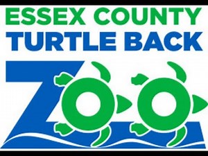 Turtle Back Zoo Train Ride 🚂✨ | 4K Scenic Family Fun at the Zoo July 2020