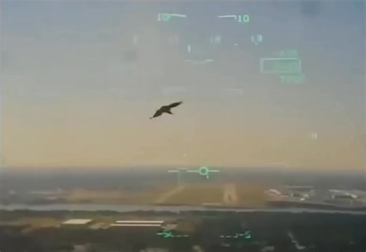 Aziz Sahin on Instagram: "Navy T-45c Bird Strike Crash A Navy T-45C Goshawk jet trainer aircraft assigned to Training Air Wing 2 at Naval Air Station Kingsville, Texas, crashed in Lake Worth, Texas, approximately two miles northeast of Joint Reserve Base Fort Worth in September of 2021. The two pilots ejected from the aircraft. The instructor pilot was reported in stable condition; the student naval aviator was reported in serious condition – his injuries were not life threatening. Both were tra