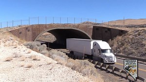 6.3K views · 153 reactions | This Wildlife Wednesday we take a look at how Wildlife Safety Crossings on some of Nevada's roads help protect motorists and wildlife during the fall and spring migrations. We are in the peak of deer migrations in northern and central Nevada and motorists need to be wary in areas where deer migration routes cross roads and highways. | Nevada Department of Wildlife | Facebook