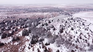 We have joined the TikTok and Instagram world! We have several reels...