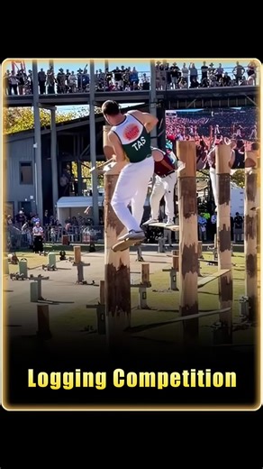 Whoever Chops Through the Log First Wins $1 Million#usa_tiktok #fyp #challenge #movie #foryou