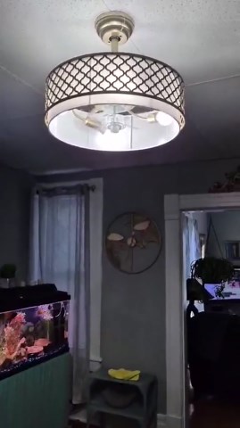 20" Silver Fandelier Ceiling Fan with Lights, Caged Boho Ceiling Fan with Light Remote Control, Rattan with 6 Speeds for Bedroom, Nursery, Living Room