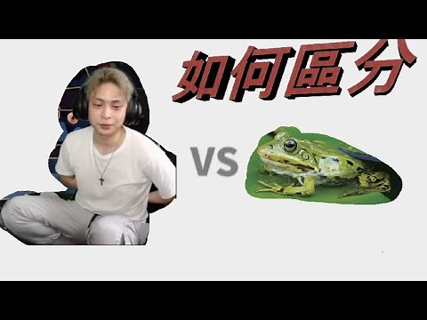 如何分辨放火和青蛙 #第二屆放火迷因大賽