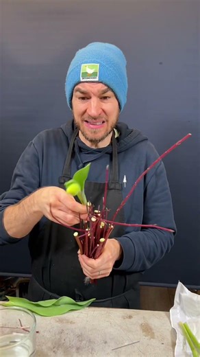 Kleiner Tulpenstrauss #diy #tulpen #floral #florist #blumen #frühling