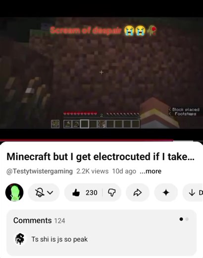 What Was Bro Doing in Minecraft?