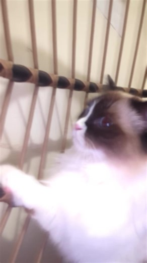 june♱*ೃ (@kennyz4uuuy)’s videos with Num Num Na Num Nam Na Num Na Num (Slow Version) - Parry Gripp