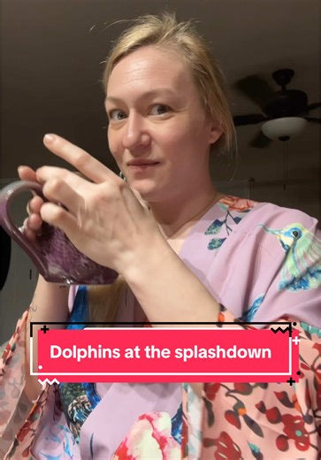 Dolphins at the SpaceX Splashdown Event
