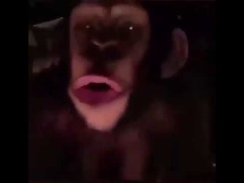 WHOSE TOES ARE THOOSE