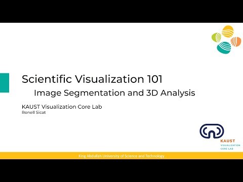Scientific Visualization 101: Introduction to Image Segmentation and 3D Analysis