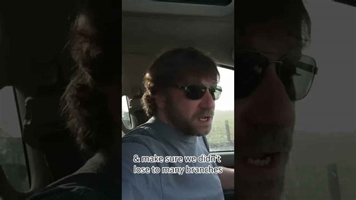 Disguised truck stealth camping