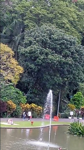 the beauty of the Bogor Botanical Gardens