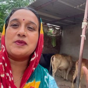 104K views · 6.4K reactions | Indian Village Mom Evening Routine | Village Life #palfamilyvlogs | Pal Family Vlogs | Facebook