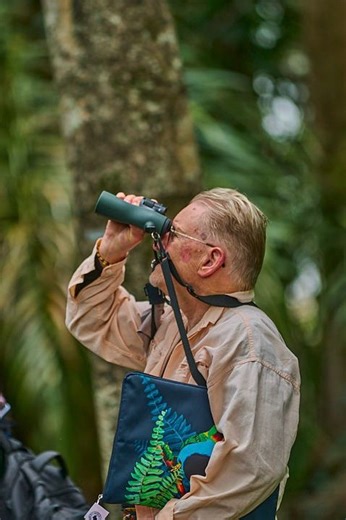 12K views · 243 reactions | A la vista del mundo: Bird City certifica a Palmira como ‘Ciudad de las aves’  Socializamos la certificación internacional otorgada por esta entidad internacional en el El Bosque  Municipal, Delegados de Estados Unidos  descubrieron y ratificaron la importancia de #Palmira como territorio para el avistamiento de aves y un espacio para el aviturismo excepcional ✌ | Alcaldía de Palmira | Facebook