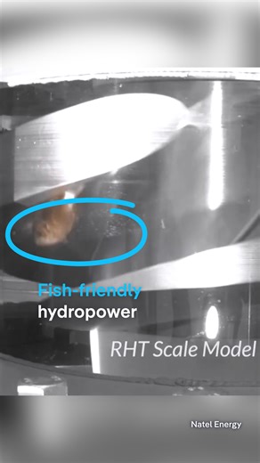 Fish-friendly hydropower