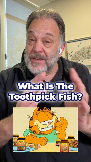 1K views · 15 reactions | What Is The Toothpick Fish? Meet the...