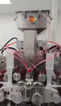 How SEM-120 servo softgel encapsulation machine looks like？
