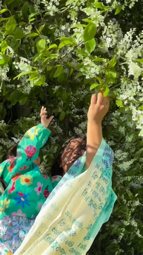 45K views · 1.7K reactions | ✨ Eka Sandhya | এক সন্ধ্যা ✨ Celebrating...