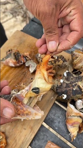 Wild Catch & Cook! Simple Meal with Fresh Sea Shells Straight From The Ocean! 🌊🔥