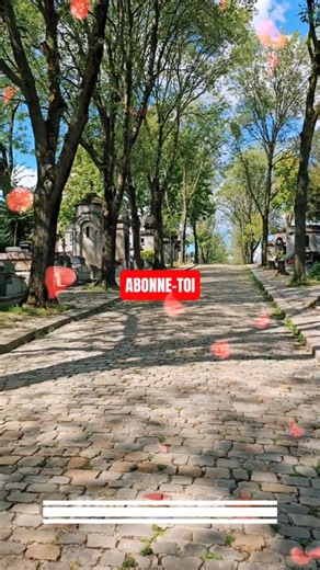 Tombe de Marie Trintignant cimetière du Père Lachaise Sophie Daumier Gilbert Becaud Lio Bertrand Cantat | USA Old Stove
