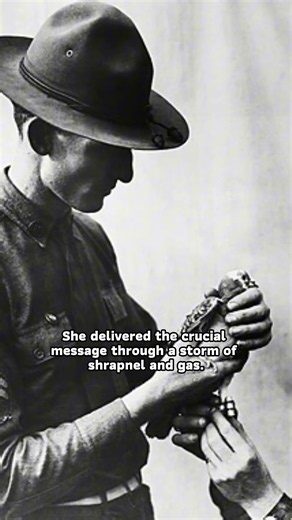 The Pigeon Who Saved a Lost Battalion