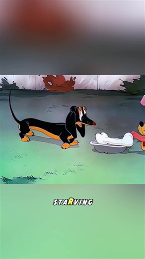 #animation #movie #usa #fyp #cartoon | animation