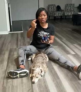 Real Review-PetLab Co. Allergy & Immune Probiotics for Dogs