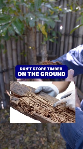 Stored timber around your home? Big mistake. Deck timbers or stacked wood on the ground make perfect termite food. They’ll hide, breed, and move straight into your house from there. Keep timber off the soil and away from the structure — simple as that. #TermiteControl #PestPrevention #brisbaneHomes #HomeProtection | EPM PEST Control