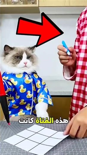 غشت لتفوز عليه لكن هذا القط صدمها بذكائه! 😱🐈