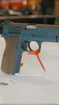 Springfield Armory - SA35