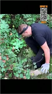 Help me! The dog was stuck in a sewer for a long time | I Kiligers