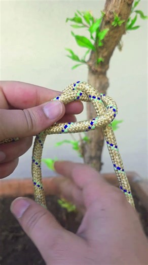 Double Sheet Bend Knot Tutorial | Join Two Ropes Securely 🔗 #shorts