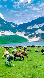 Beauty Of Nature Doodi Pat Lake Kaghan Valley KPK ❤️ #Doodipatlake #Kaghanvalley #NaranUpdate | Kaghan valley