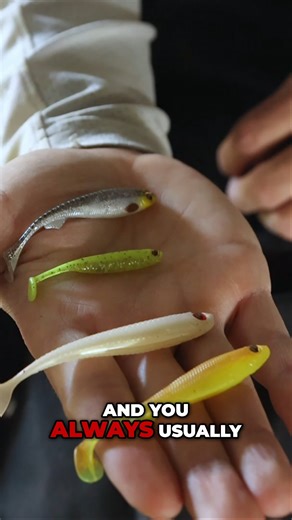 14K views · 157 reactions | Canal Fishing Adventures Await!  Check out this sneak peek from @luresonly's latest Predator Challenge episode. Join Adam as he breaks down the tackle and lures he used to reel in two out of four species he was challenged to catch from a murky canal. Want to master his techniques? Dive into the full episode on the Fox Rage TV YouTube channel for more tips and tactics to help you score your own epic catch! | Fox Rage | Facebook
