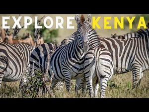 “KENYA: The Ultimate Travel Guide (Safari, Culture, Beaches & Wildlife)”