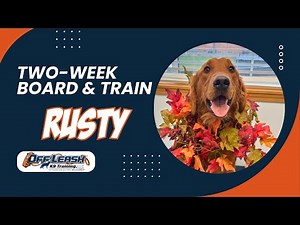 Amazing: How 1 y/o Golden Retriever "Rusty" Became well behaved with Off Leash K9 Training Spokane
