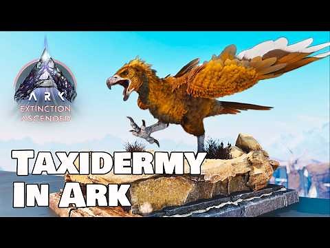 Dermis Guide - Everything you need to know - Ark Survival Ascended