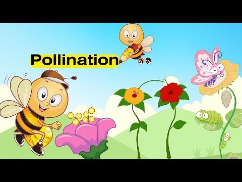 Pollination | Parts of a Flower | Class 5 Science