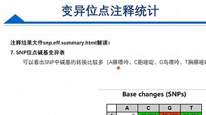 基因组重测序课程系列， Day11-注释软件的使用和基因突变分析，生信小伙伴久等了，给您精心准备的课程，快来学习吧