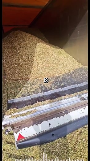 Engaging Texting Stories for All Ages