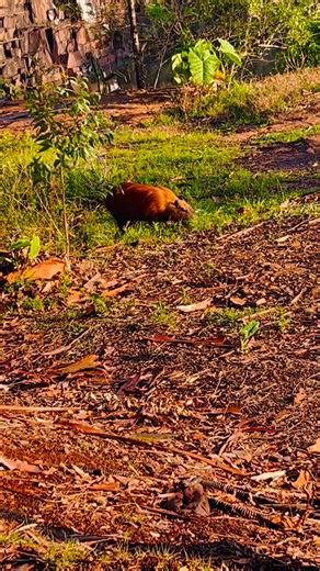 Craig Robinson on Reels | Facebook