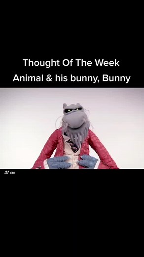 Muppet Animal and Bunny Thought Of The Week