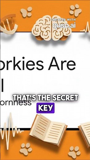 Foolproof 4-Step Yorkie Potty Plan - How To Pottytrain Your Yorkie - Yorkshire Terrier